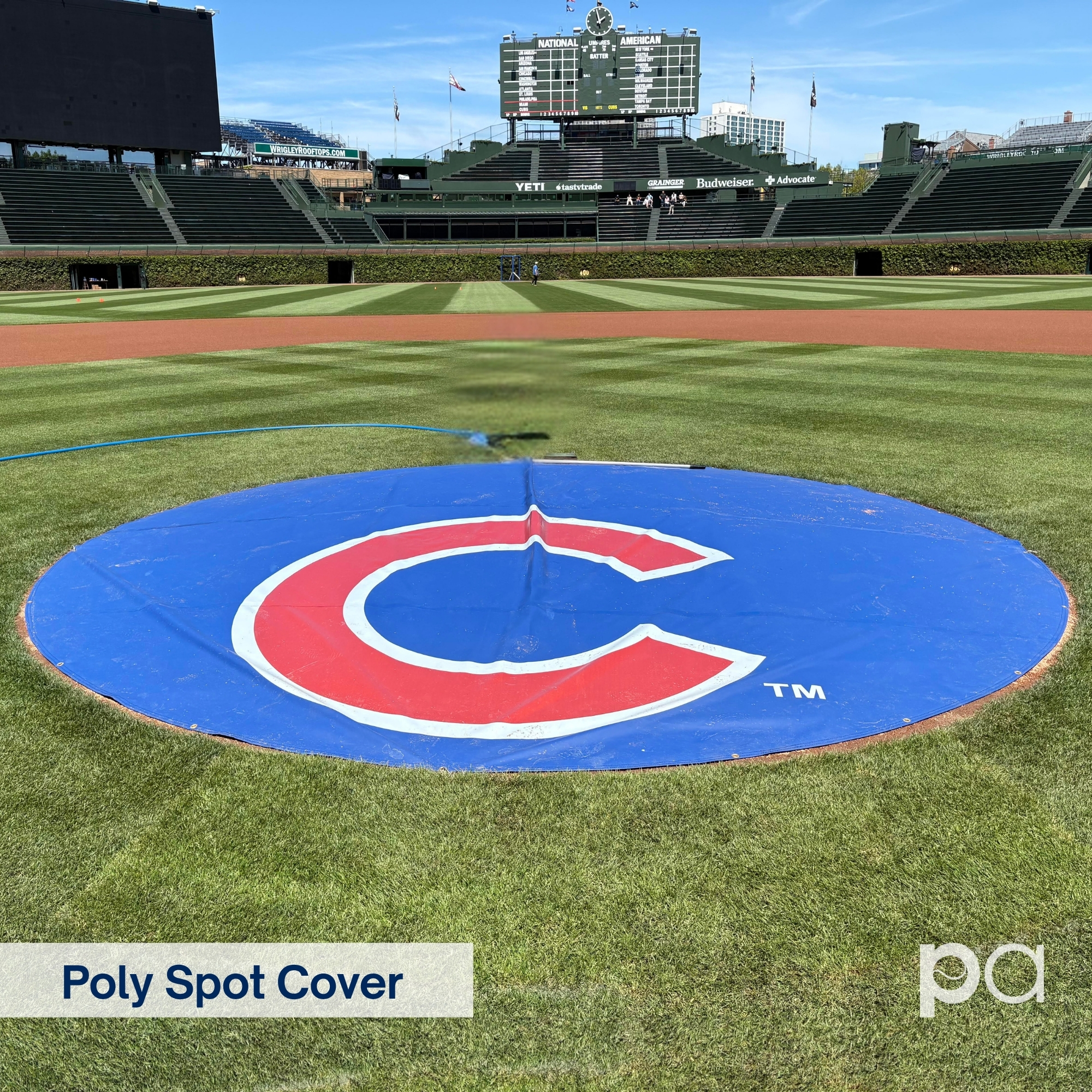 Cubs Poly Spot Cover
