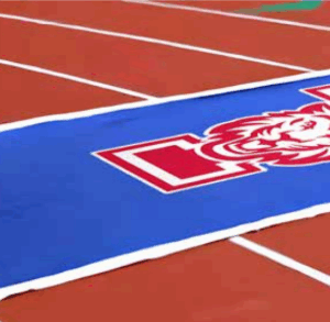 Premium Cut-Across Track Protectors